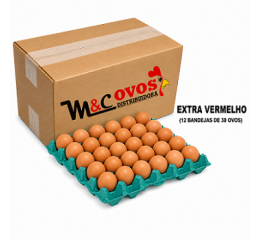 CAIXA EXTRA VERMELHO C/360 OVOS